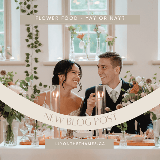 Do you NEED flower food for DIY Wedding Flowers? Do you NEED flower food for DIY Wedding Flowers? My short answer? No... but here’s why: When preparing your wedding flowers, the objective is to showcase their beauty on your special day, prioritizing their