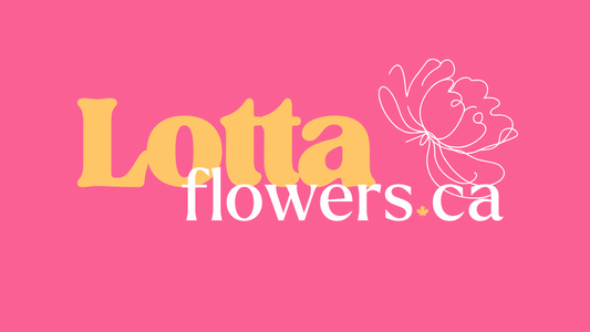 LOTTA Flowers Gift Card
