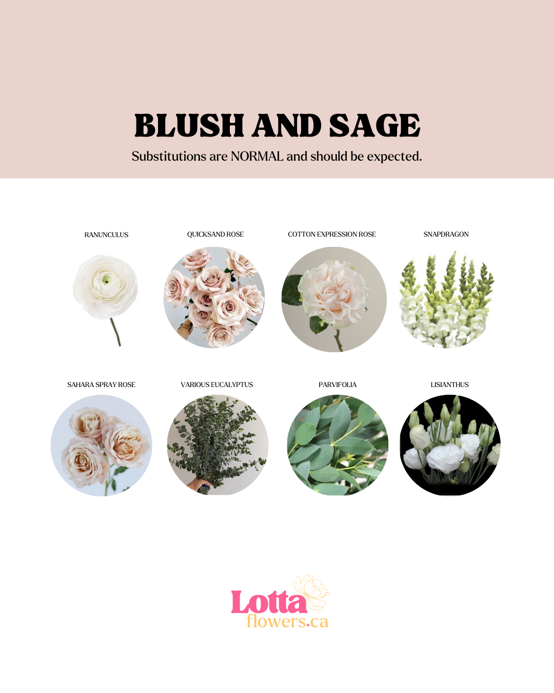 Blush and Sage