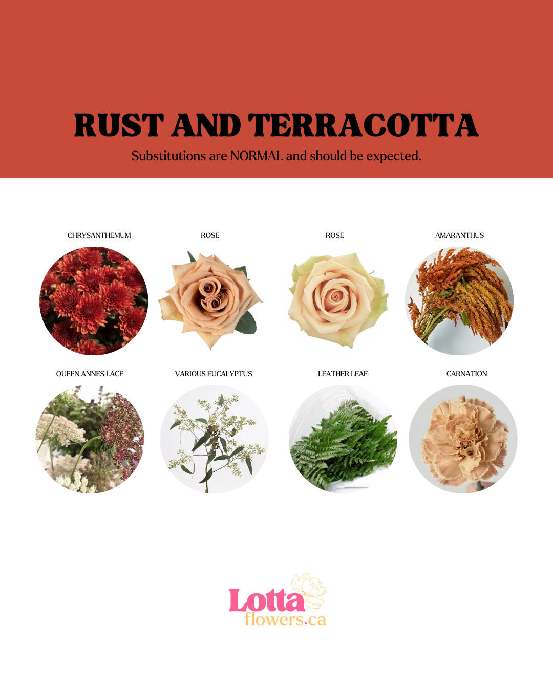 Rust and Terracotta
