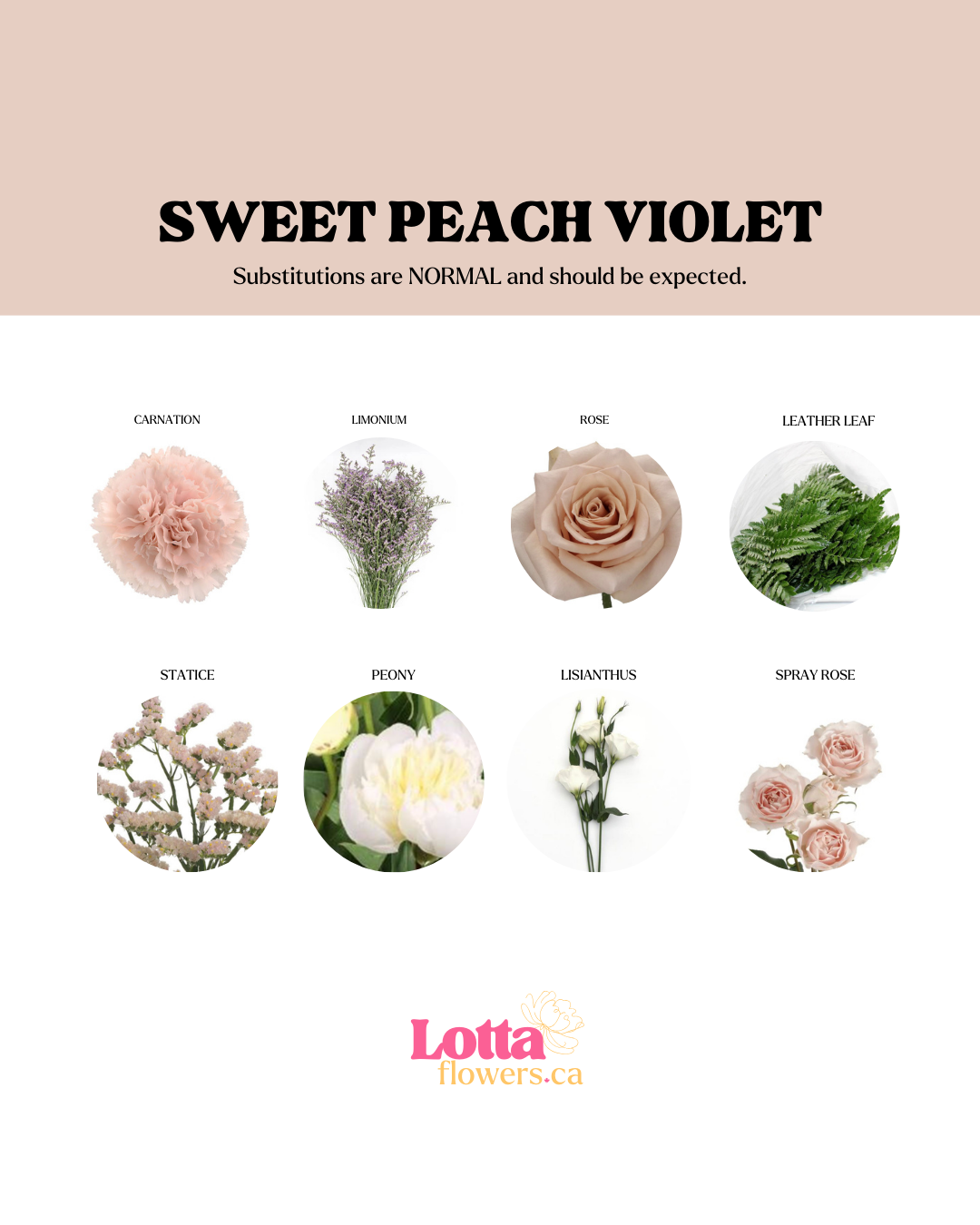 Sweet Peach Violet