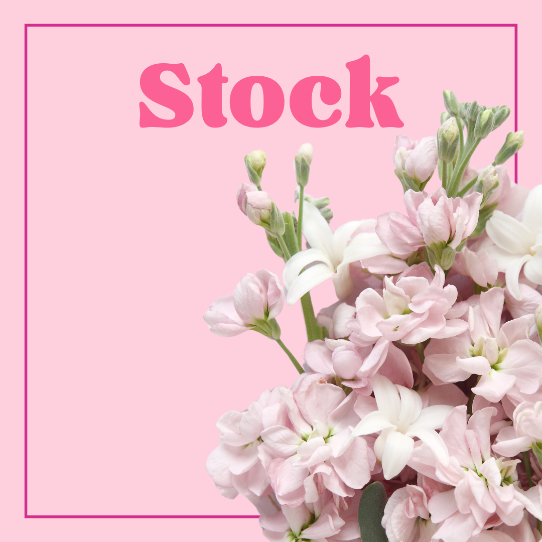 Stock - 10 Stems