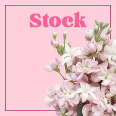 Stock - 10 Stems