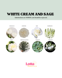 White, Cream and Sage
